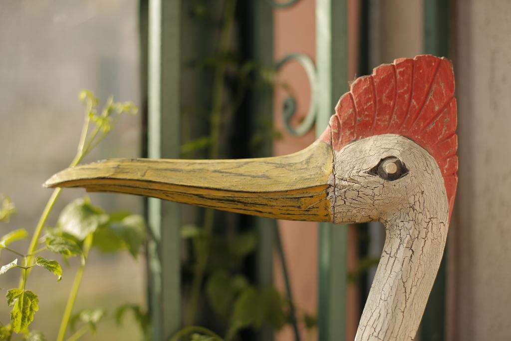 Bed & Breakfast Garden40 Beograd Eksteriør bilde